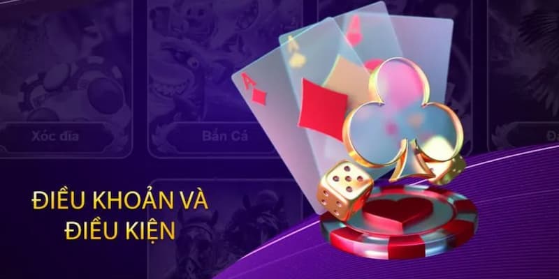 Các chính sách khi sử dụng dịch vụ của 28BET